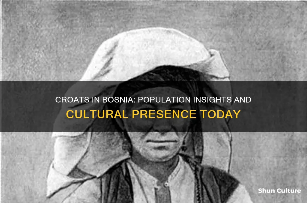 how many croats live in bosnia