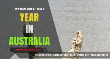 Annual Crocodile Attacks in Australia: Surprising Statistics and Safety Tips