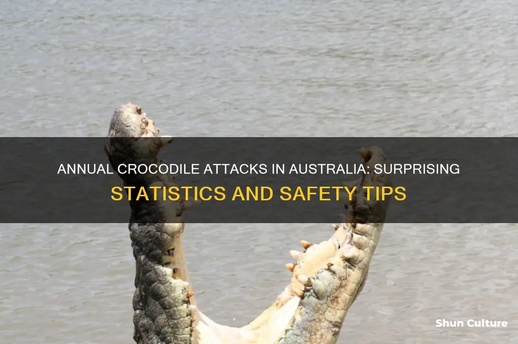 how many croc attacks a year in australia