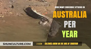 Annual Crocodile Attacks in Australia: Understanding the Risks and Statistics