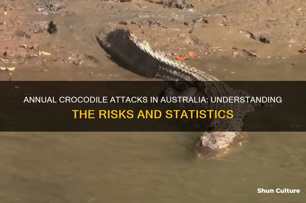 how many crocodile attacks in australia per year
