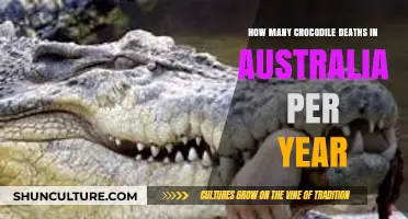 Annual Crocodile Fatalities in Australia: Understanding the Risks and Statistics