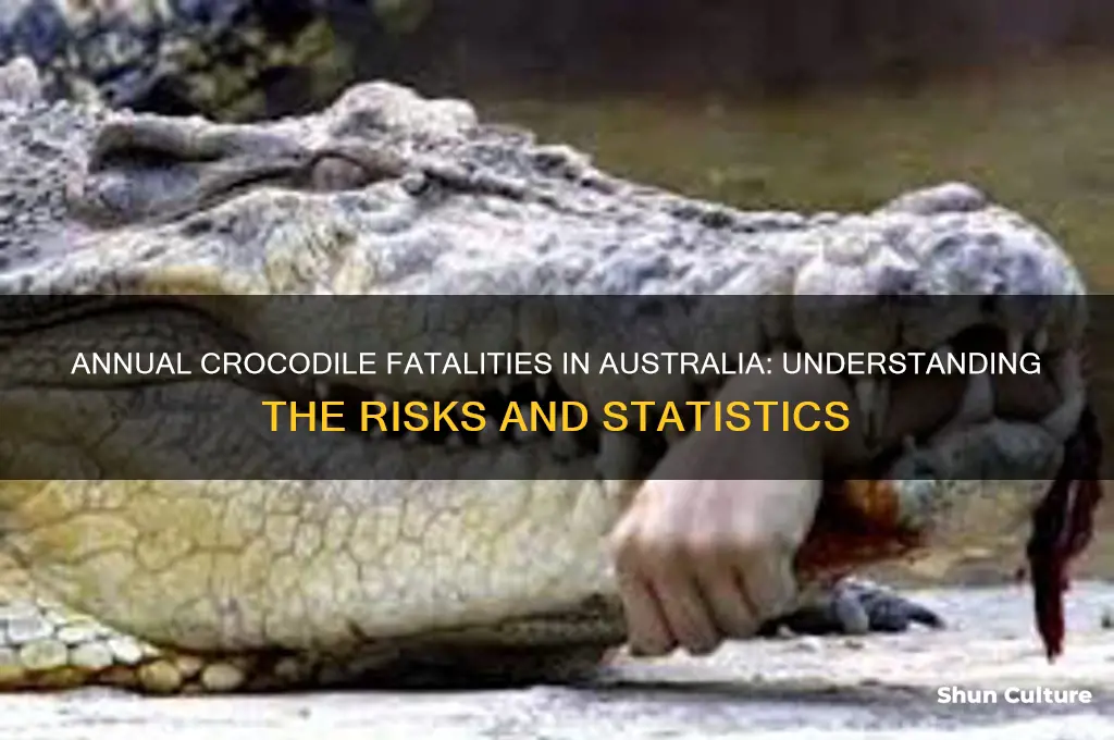 how many crocodile deaths in australia per year