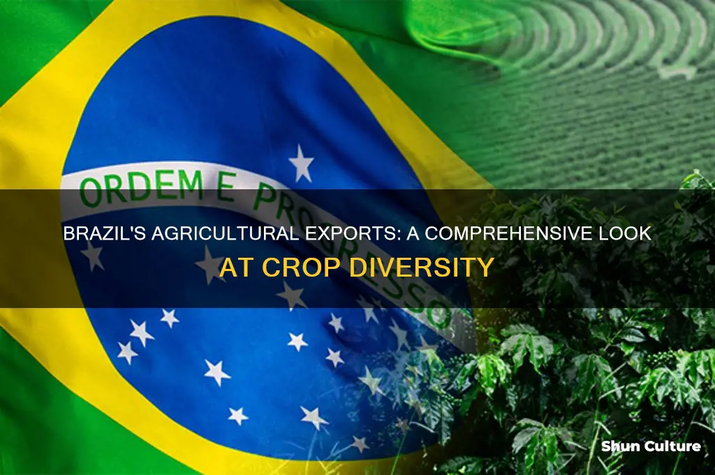 how many crops does brazil export