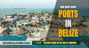 Belize's Many Cruise Ports: A Traveler's Guide