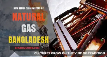 Bangladesh's Natural Gas Reserves: Measuring Cubic Meters and Potential