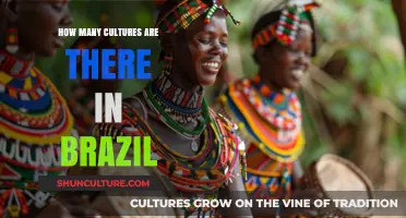 Exploring Brazil's Rich Cultural Diversity: A Mosaic of Traditions