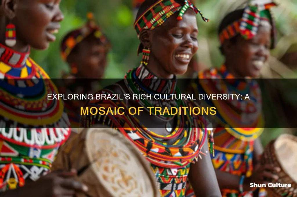 how many cultures are there in brazil