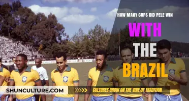Pele's Legacy: Brazil's World Cup Triumphs and Victories
