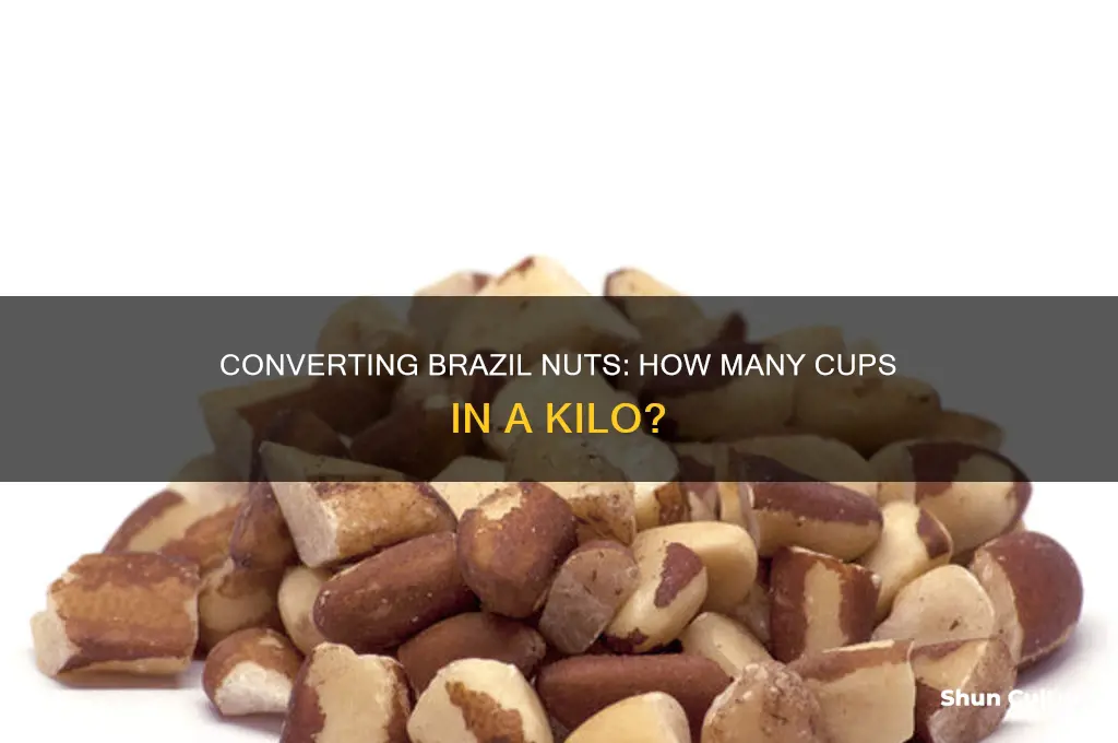 how many cups in a kilo brazil nuts