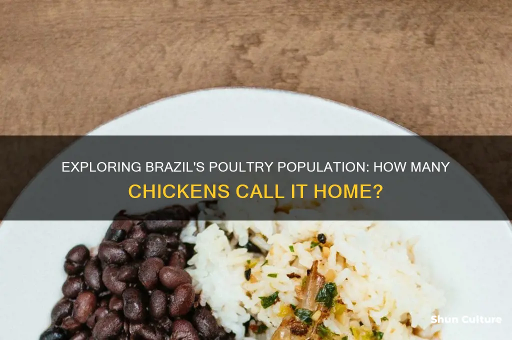 how many cvhickens in brazil