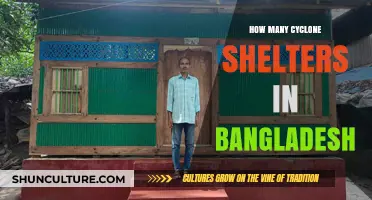 Cyclone Shelters in Bangladesh: Counting Lifesaving Havens Nationwide