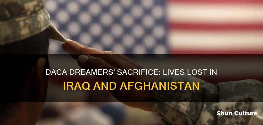 how many daca dreamers died in iraq and afghanistan