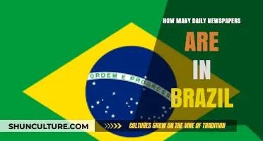 Exploring Brazil's Daily Newspaper Landscape: A Comprehensive Count