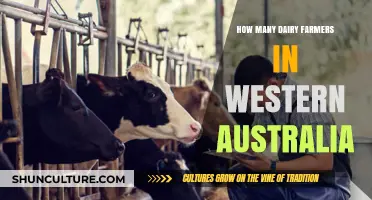 Western Australia's Dairy Farmers: A Thriving Community