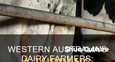 how many dairy farmers in western australia