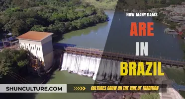 Exploring Brazil's Hydropower: A Comprehensive Count of Its Dams