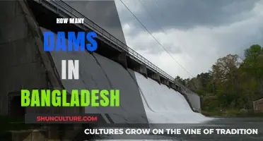 Exploring Bangladesh's Hydropower: A Comprehensive Guide to Its Dams