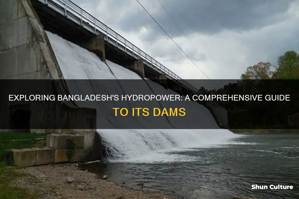 how many dams in bangladesh