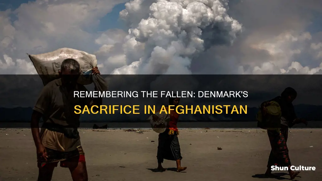 how many danes died in afghanistan