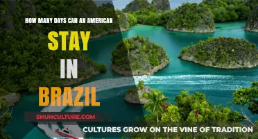 American Travelers: Understanding Brazil's Visa-Free Stay Duration