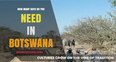 Exploring Botswana: Ideal Duration for an Unforgettable Safari Adventure