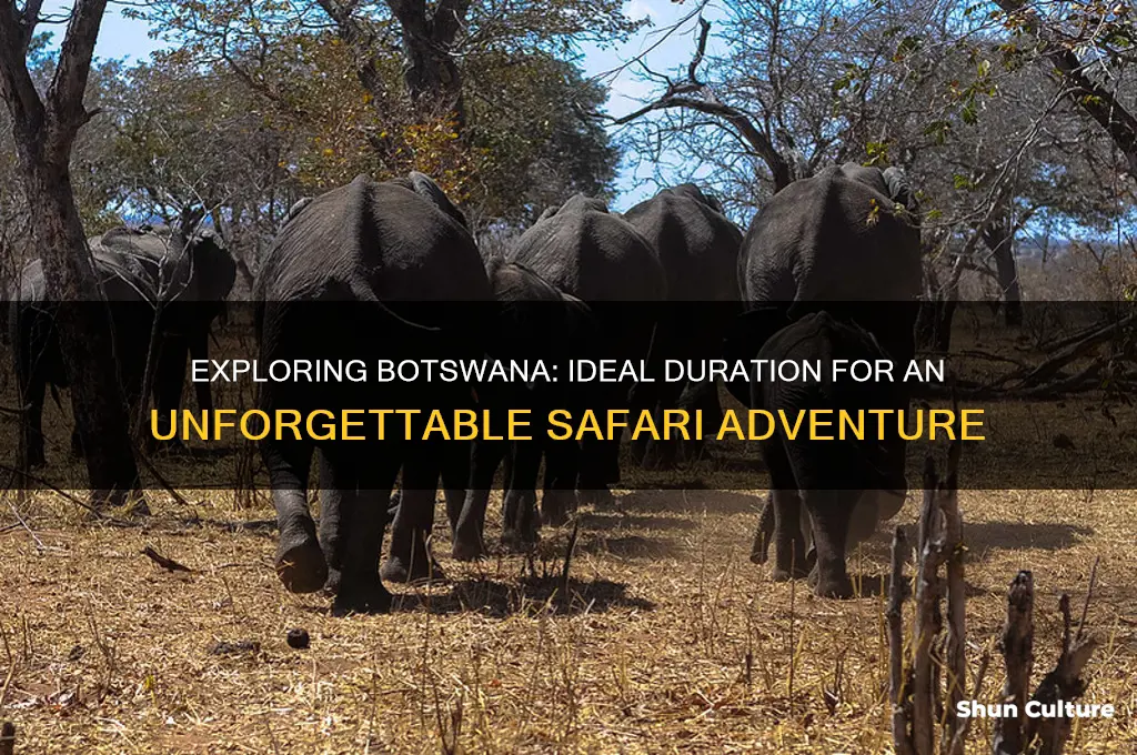 how many days do you need in botswana