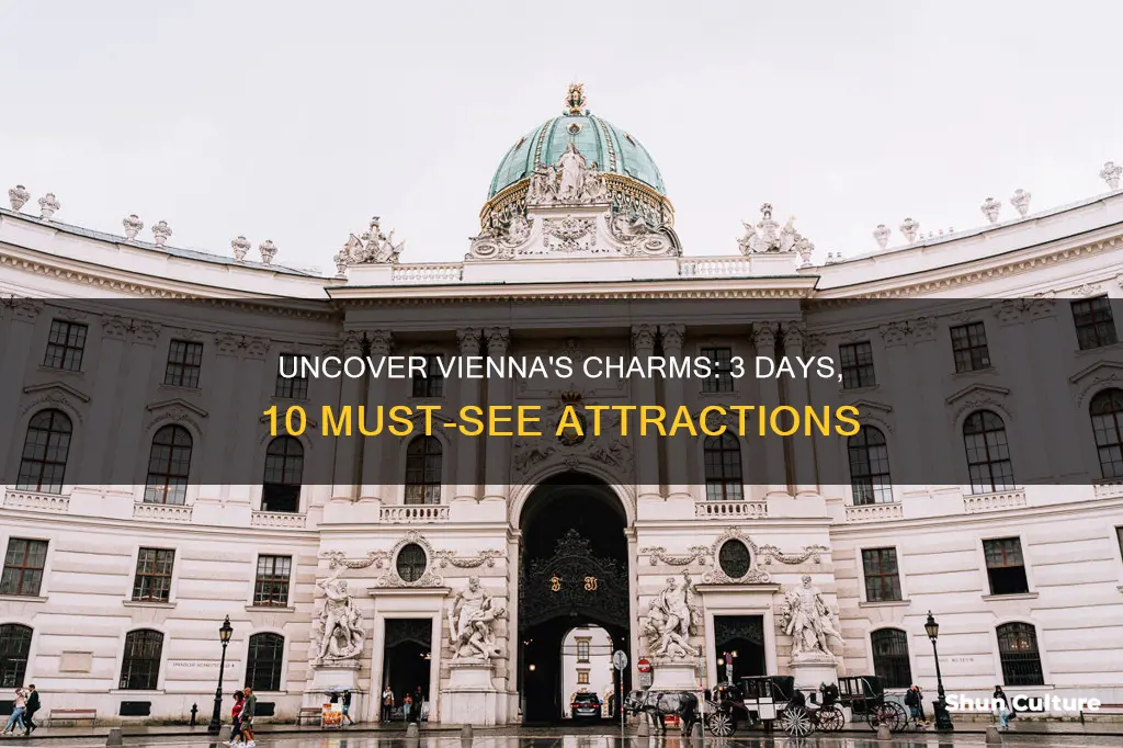 how many days do you need to sightsee vienna austria