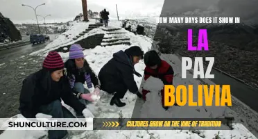 La Paz Snow Days: A Yearly Wonder