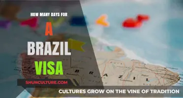 Brazil Visa Processing Time: Days Required for Approval Explained