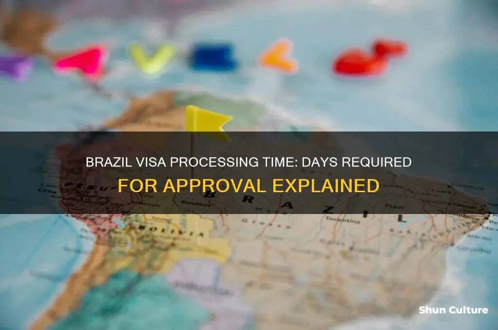 how many days for a brazil visa