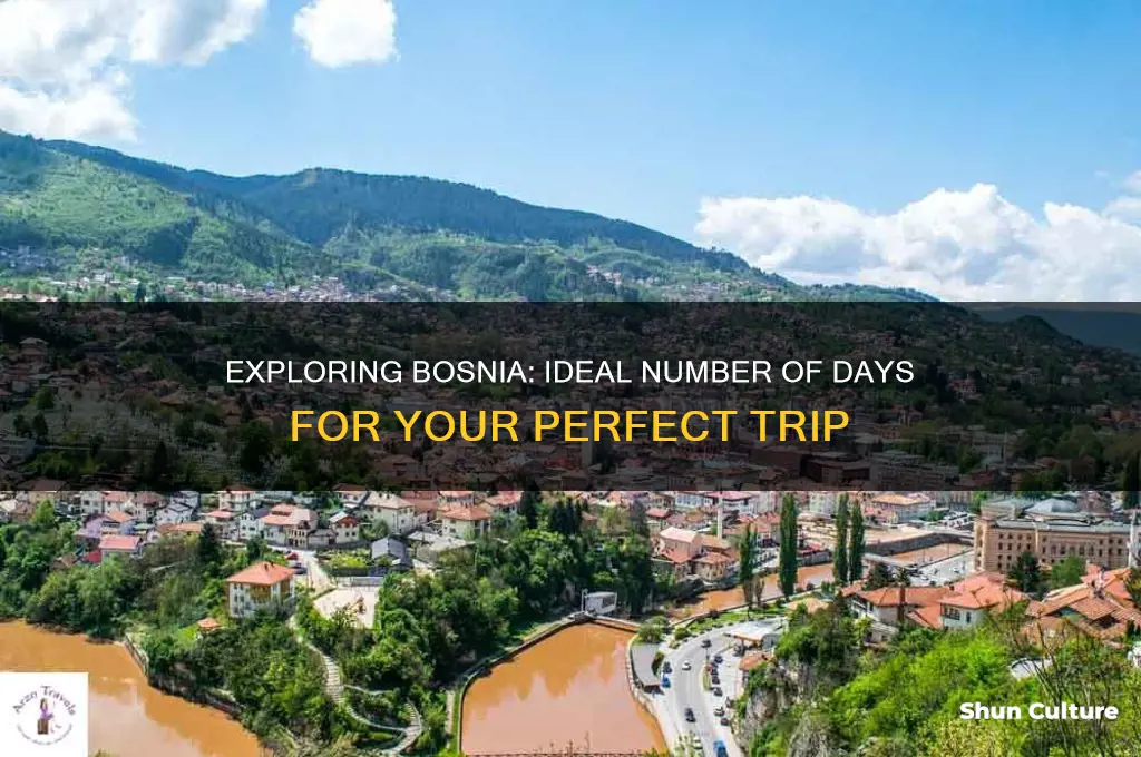 how many days in bosnia