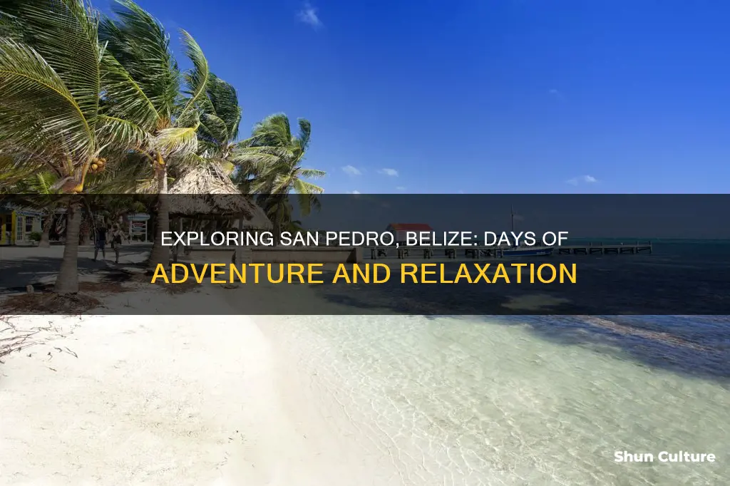 how many days in san pedro belize