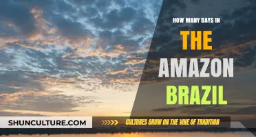 Exploring Amazon Brazil: Unveiling the Duration of Your Rainforest Adventure