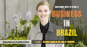 Starting a Business in Brazil: Timeline and Key Steps