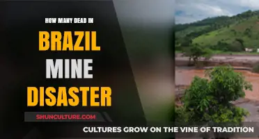 Brazil Mine Disaster: Uncovering the Tragic Death Toll and Aftermath