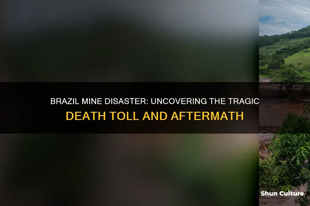 how many dead in brazil mine disaster