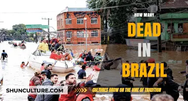 Brazil's Tragic Toll: Counting the Lives Lost in Recent Years