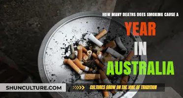 Smoking's Deadly Toll: Annual Fatalities in Australia Revealed