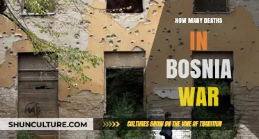 Bosnia War's Devastating Toll: Understanding the Human Cost of Conflict