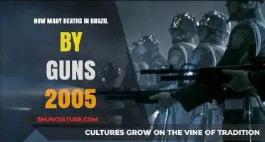Brazil's Gun Violence Crisis: 2005 Death Toll Revealed