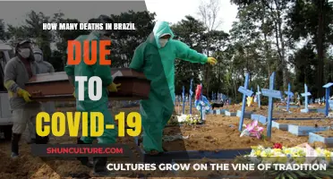 COVID-19's Devastating Toll: Brazil's Pandemic Death Count Revealed