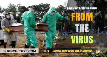 Brazil's COVID-19 Death Toll: A Comprehensive Analysis and Overview