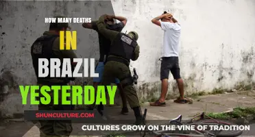 Brazil's Daily Death Toll: Yesterday's Tragic Count Revealed