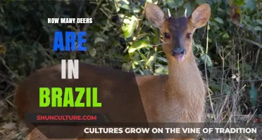 Exploring Brazil's Deer Population: Numbers, Species, and Conservation Efforts