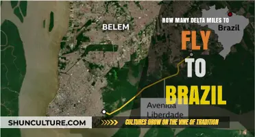 Delta Miles Required for Flights to Brazil: A Comprehensive Guide