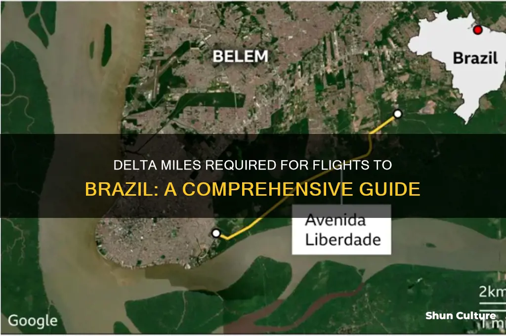 how many delta miles to fly to brazil