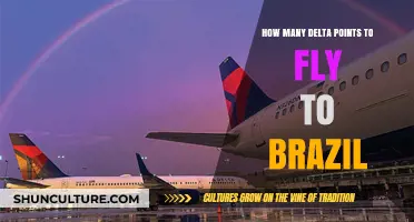 Delta Points Needed for Flights to Brazil: A Comprehensive Guide