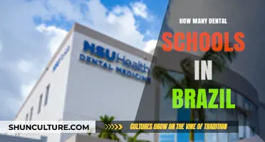 Exploring Brazil's Dental Education: Counting the Number of Dental Schools