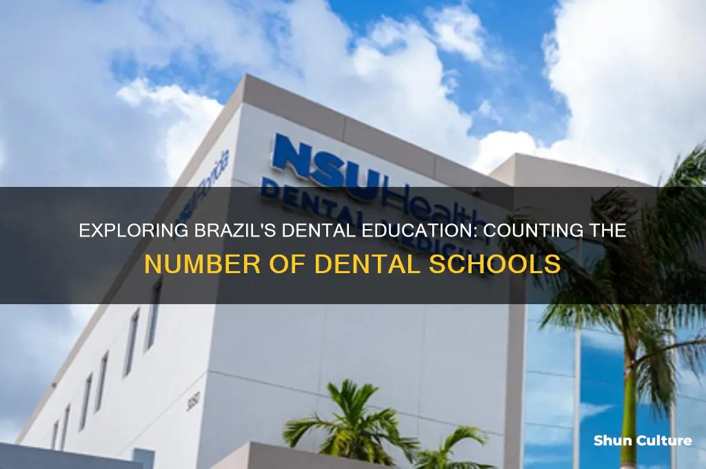 how many dental schools in brazil